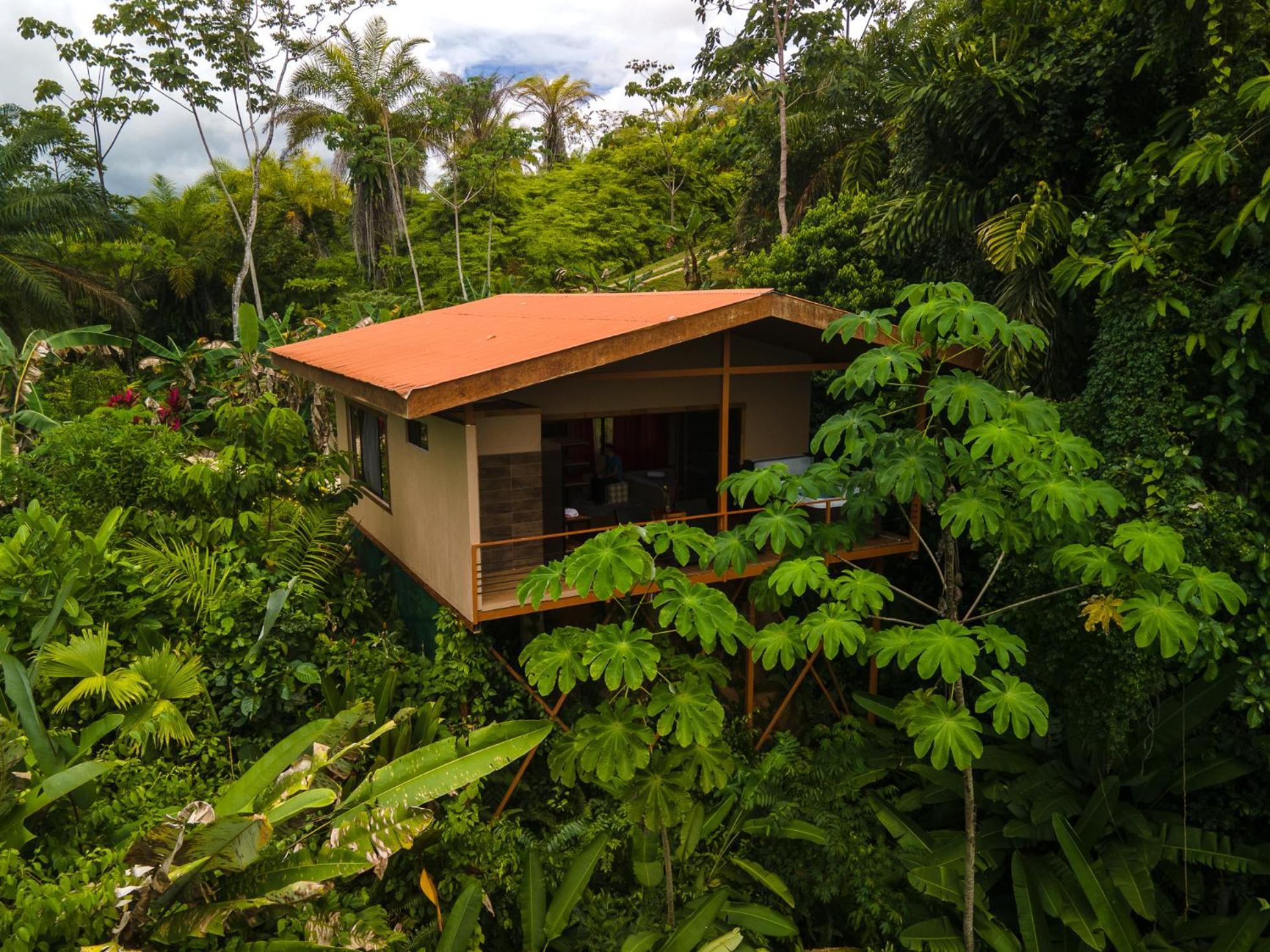 Corcovado Private Villas - Avatar Private Reserve Puerto Jiménez Exterior foto