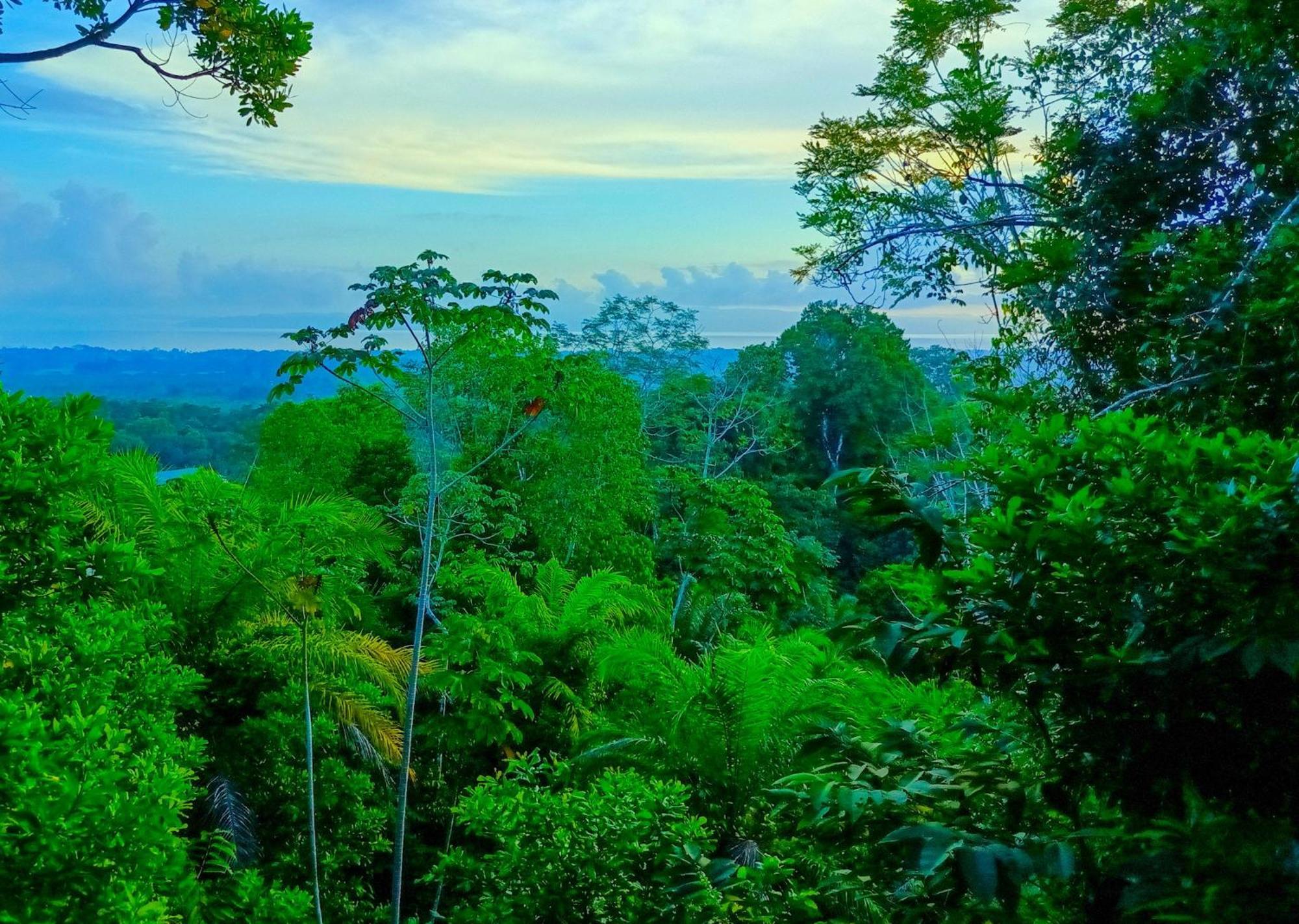Corcovado Private Villas - Avatar Private Reserve Puerto Jiménez Exterior foto