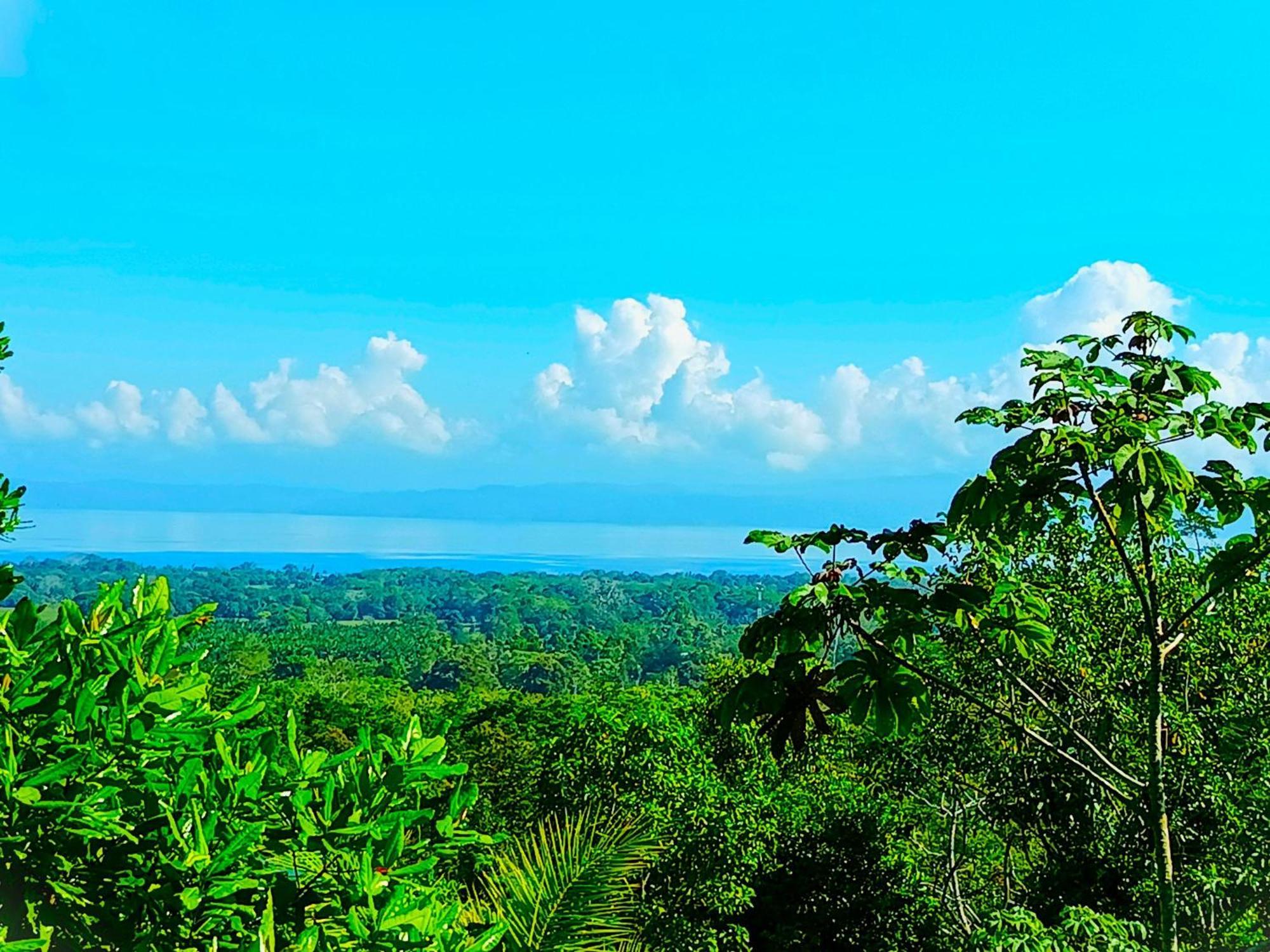 Corcovado Private Villas - Avatar Private Reserve Puerto Jiménez Exterior foto